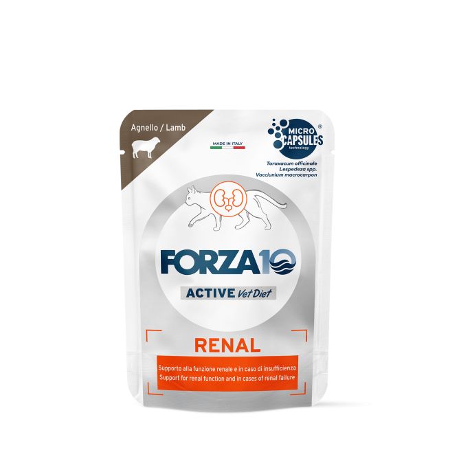 VetDiet Renal konservi kaķiem, 80g