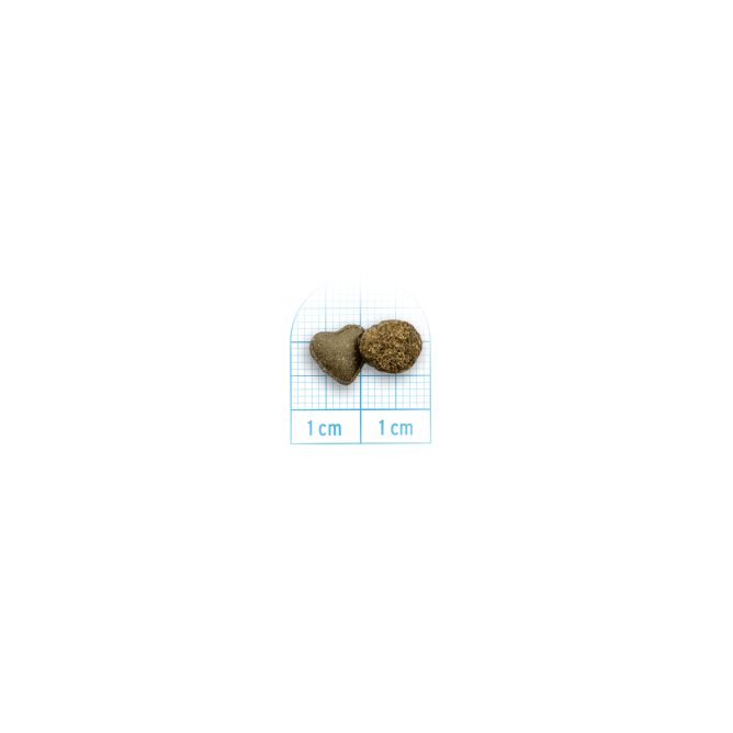 Forza10 ActiveVetDiet Mini/Toy RENAL, 1,5 kg