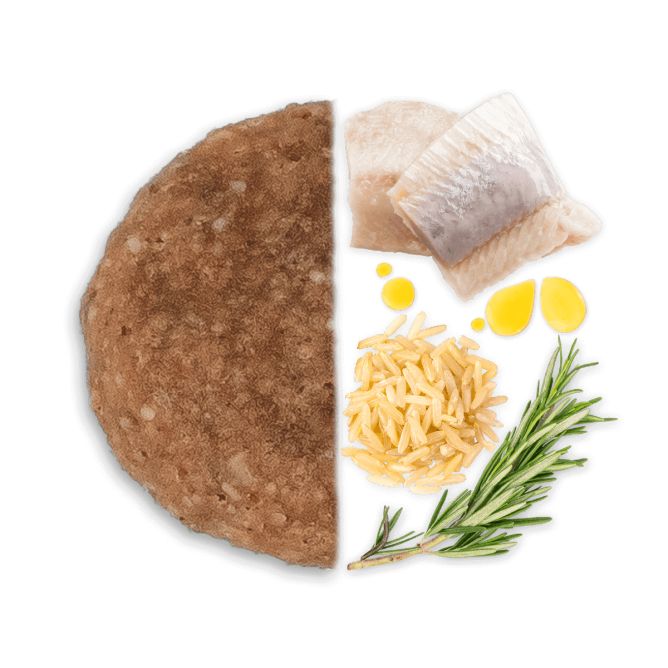 ALL SIZE Adult ar zivi un rīsiem, 2kg