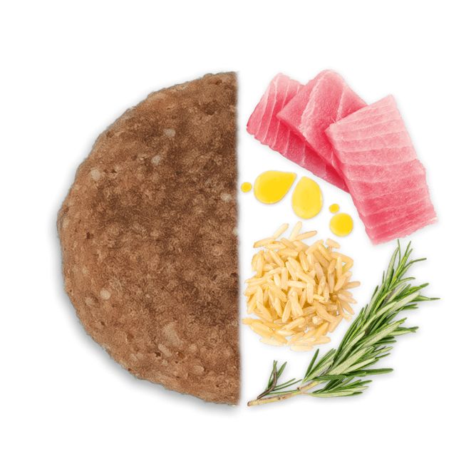 ALL SIZE Adult Light ar tunci un rīsiem, 12kg