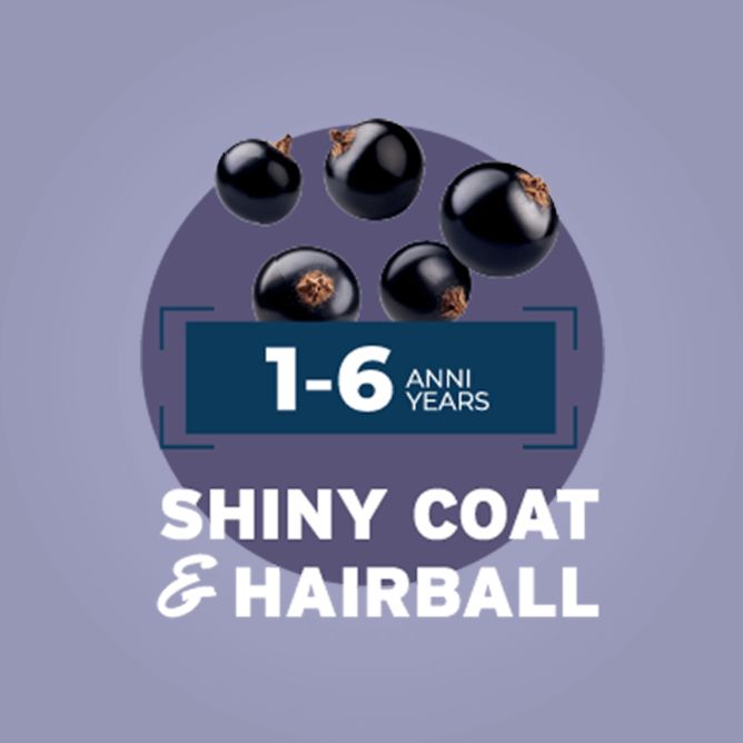 BotaniCat mīkstā pastēte kaķiem 1-6g. ar paipalu, 80 g