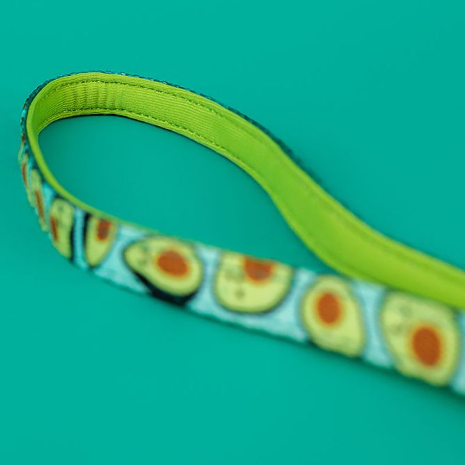 Iemaukti ar pavadu kaķiem AVOCADO