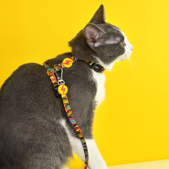 Iemaukti un pavada kaķiem BOOM