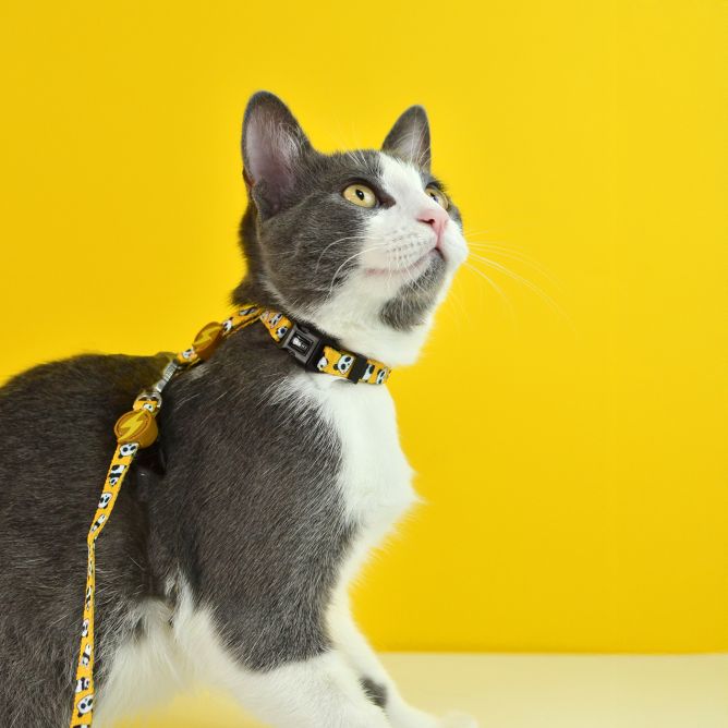 Kaklasiksna kaķiem SNOOZE