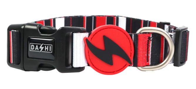 Kaklasiksna suņiem SLIDE, M