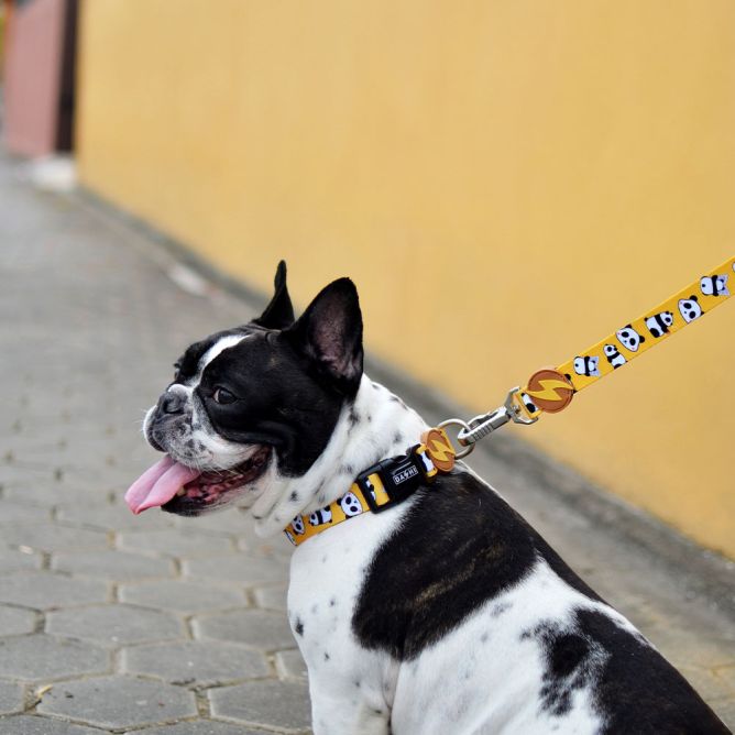 Kaklasiksna suņiem SNOOZE, M