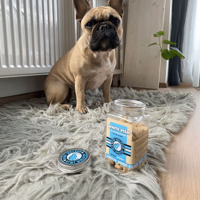 KIWI-Liofilizēti kārumi - Veselas zivis, 70 g