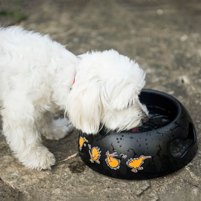 Kiwi Walker bļoda, melna ar oranžu, M