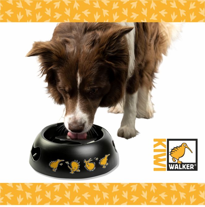 Kiwi Walker bļoda, melna ar oranžu, M