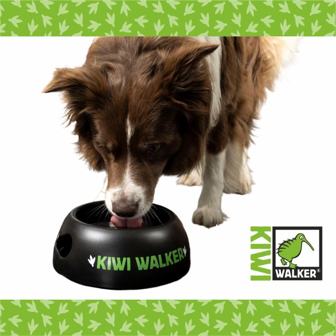 Kiwi Walker bļoda, melna ar zaļu, M