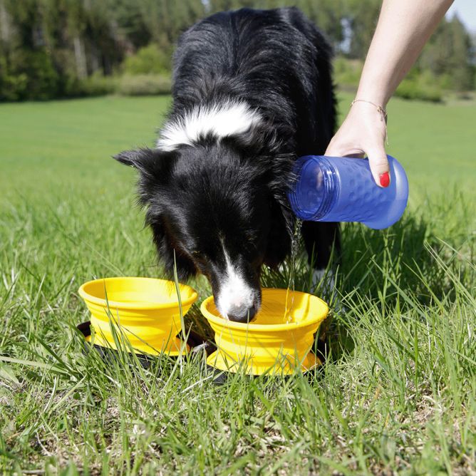 Kiwi Walker Ceļojuma pudele 2 in 1 Rozā/zila