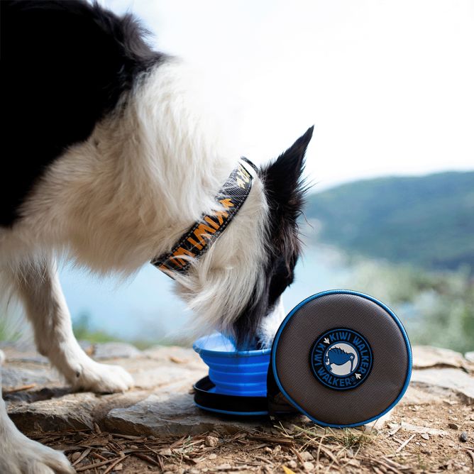 Kiwi Walker dubultā lēnēšanas ceļojumu bļoda, zila