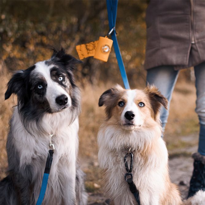 Kiwi Walker izkārnījumu maisiņu turētājs, zils