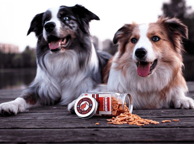 Kiwi Walker Liofilizēti kārumi - Garneles, 50 g