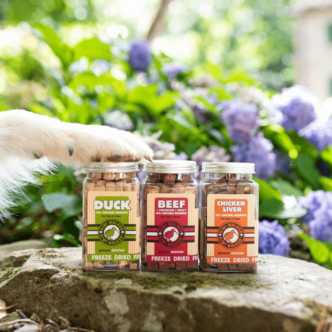 Kiwi Walker Liofilizēti kārumi - Liellops, 45 g