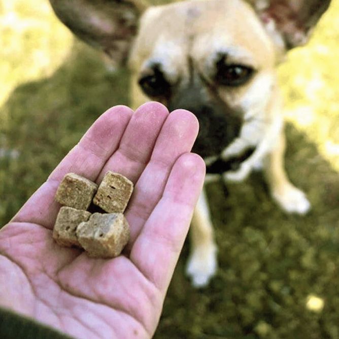 Kiwi Walker Liofilizēti kārumi - Pīle, 80 g