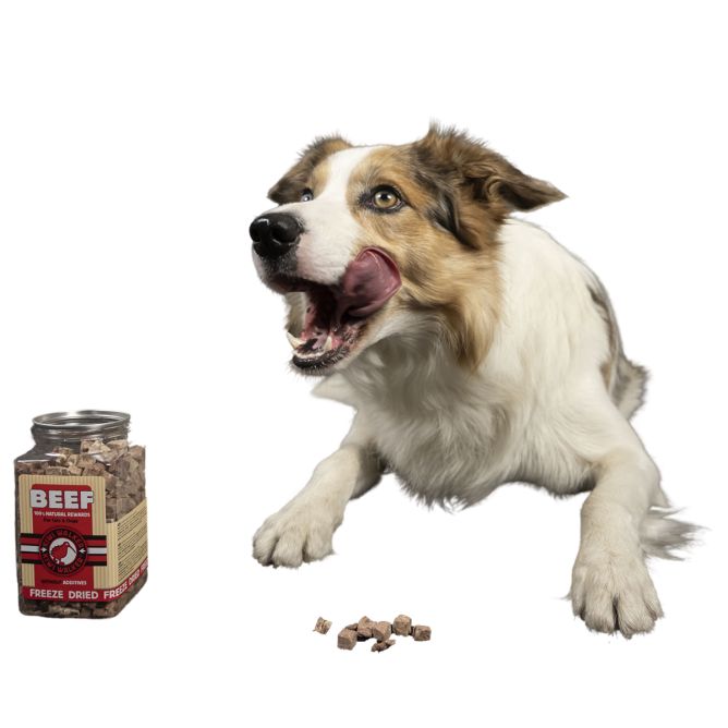 Kiwi Walker liofilizēti kārumi - zosu aknas, 120 g