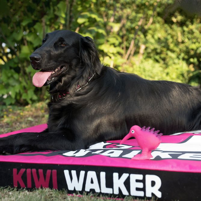 Kiwi Walker Memory putu matracis - oranžs/melns, L