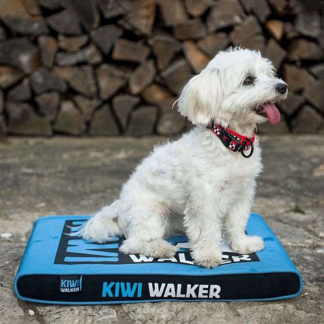 Kiwi Walker Memory putu matracis - zils/melns, M