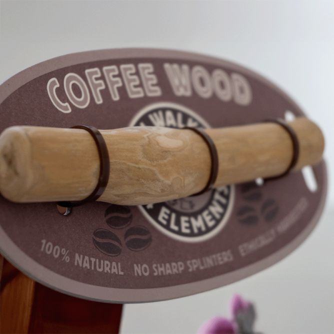 Kiwi Walker rotaļlieta 4elements- kafijas koks XS