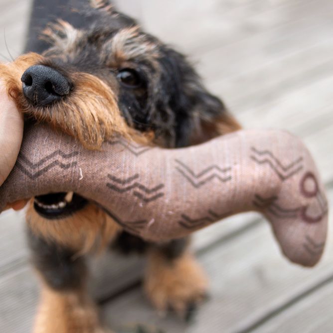 Kiwi Walker rotaļlieta 4elements - plīša rotaļlieta ZIVS