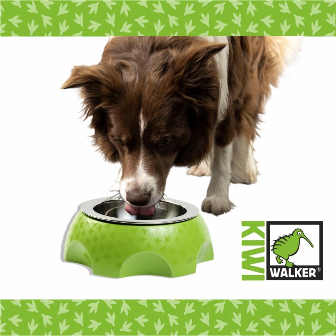 Kiwi Walker Siera bļoda, zaļa, M