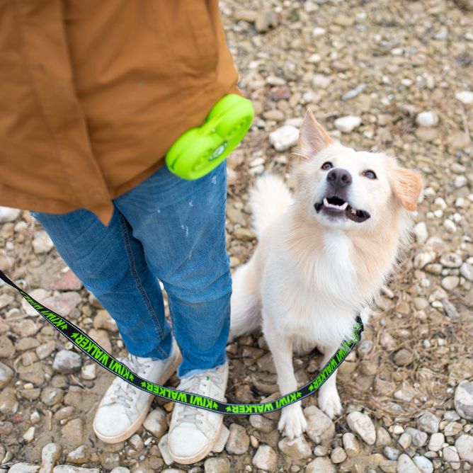 Kiwi Walker silikona kārumu somiņa, oranža
