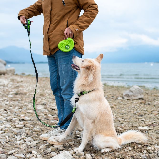 Kiwi Walker silikona kārumu somiņa, zaļa