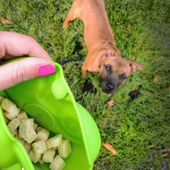 Kiwi Walker silikona kārumu somiņa, zaļa