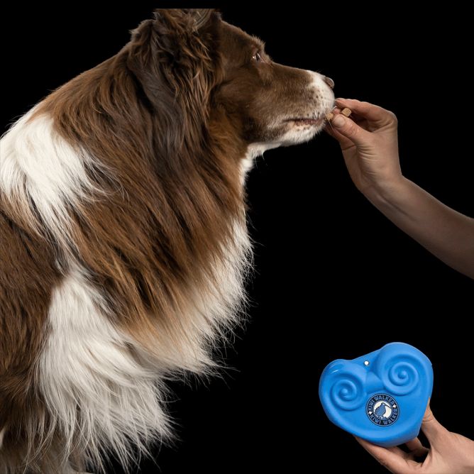 Kiwi Walker silikona kārumu somiņa, zila