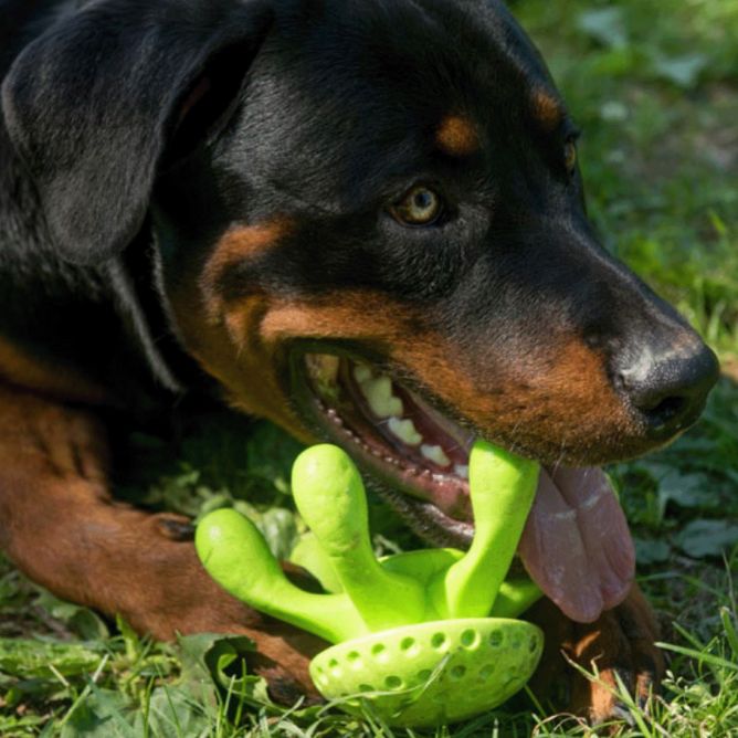 Kiwi Walker TPG rotaļlieta ASTOŅKĀJIS, MAXI - zaļa