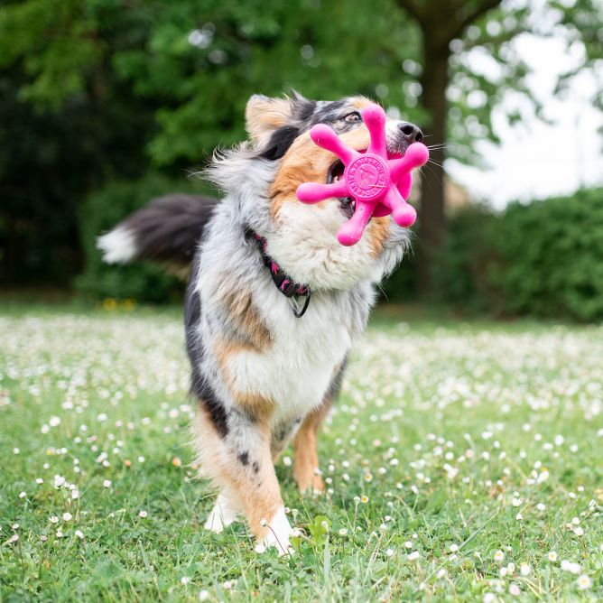 Kiwi Walker TPG rotaļlieta ASTOŅKĀJIS, MINI - rozā