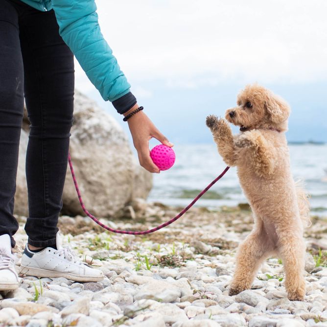 Kiwi Walker TPG rotaļlieta BUMBA, MINI- rozā