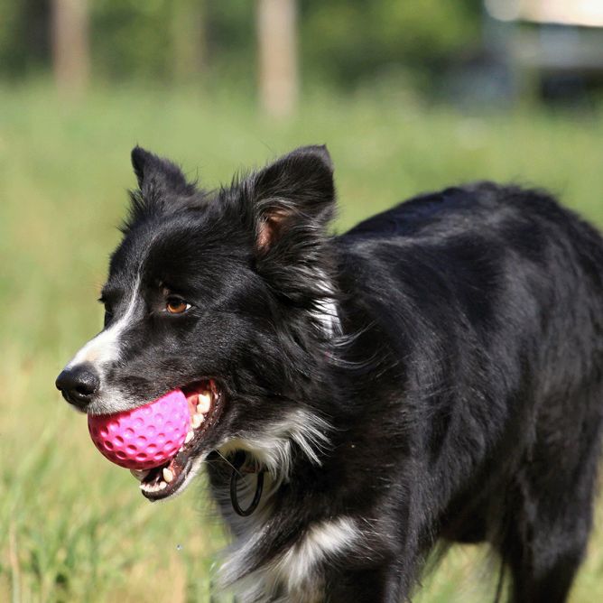 Kiwi Walker TPG rotaļlieta BUMBA, MINI- rozā