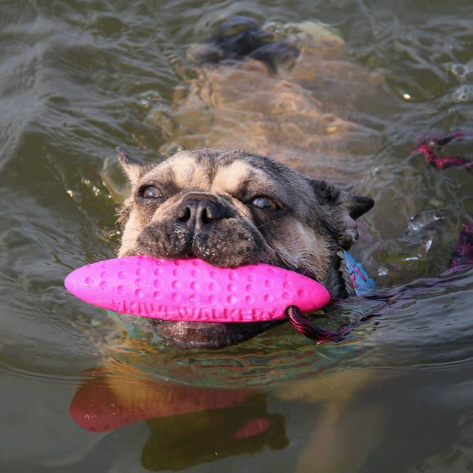 Kiwi Walker TPG rotaļlieta CEPELĪNS, MAXI- rozā