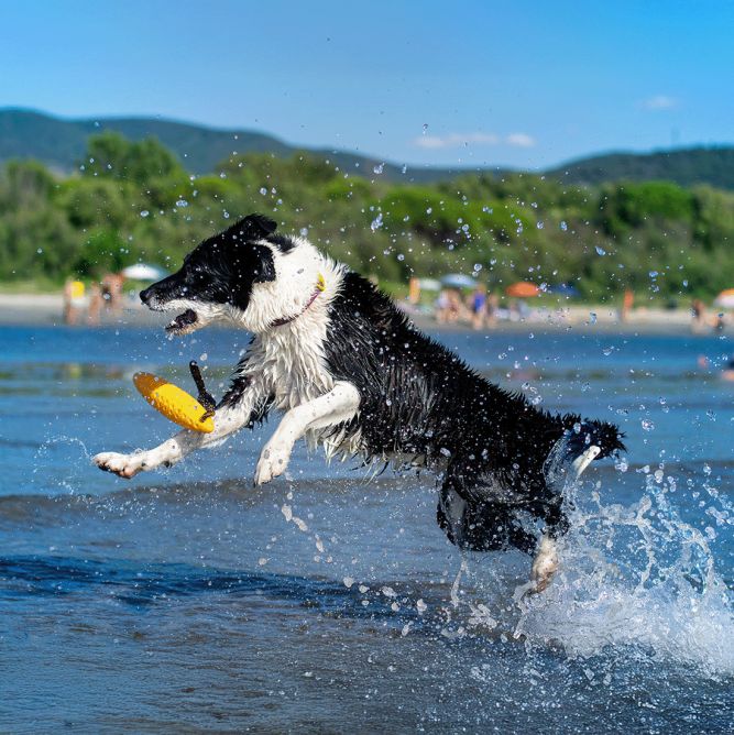 Kiwi Walker TPG rotaļlieta CEPELĪNS, MAXI- rozā