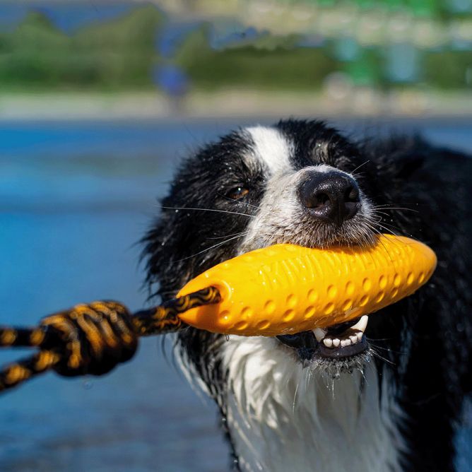 Kiwi Walker TPG rotaļlieta CEPELĪNS, MINI- oranža