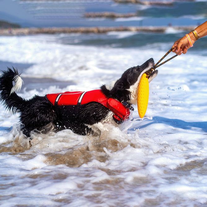 Kiwi Walker TPG rotaļlieta CEPELĪNS, MINI- zaļa