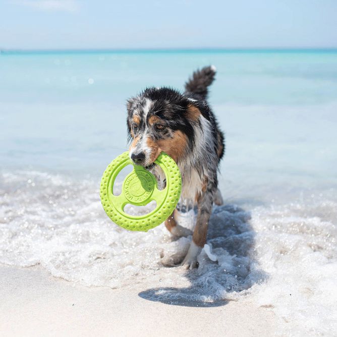 Kiwi Walker TPG rotaļlieta FRISBIJS, MAXI- zaļa
