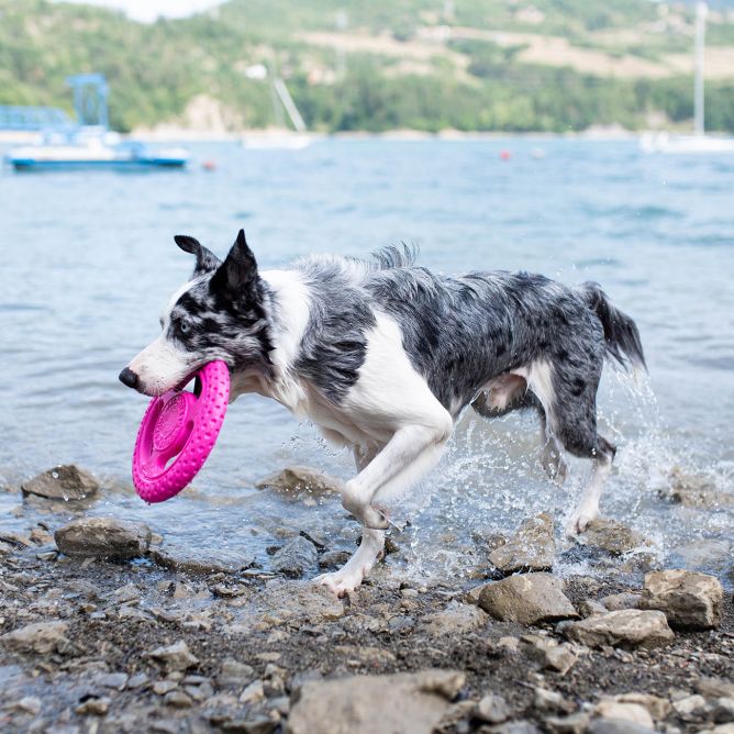 Kiwi Walker TPG rotaļlieta FRISBIJS, MINI- rozā