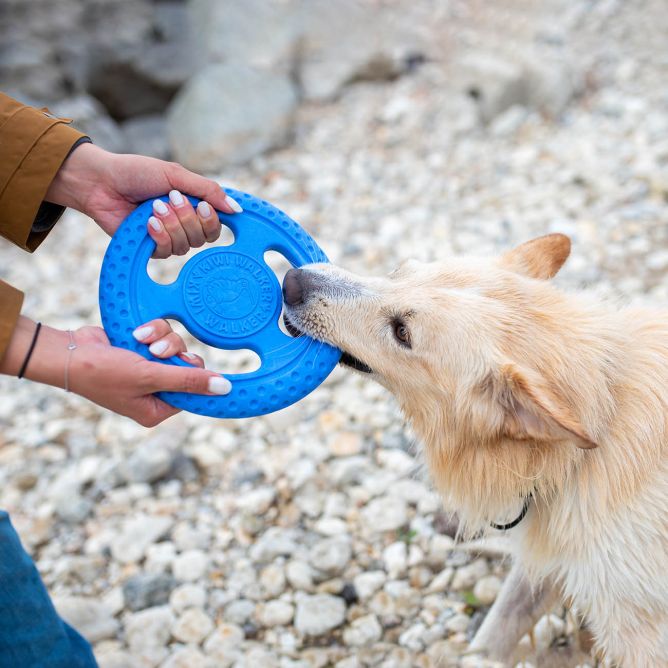Kiwi Walker TPG rotaļlieta FRISBIJS, MINI- zila