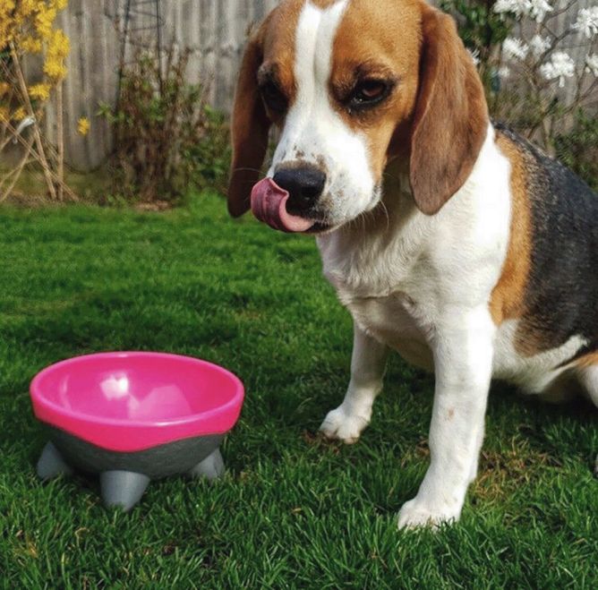 Kiwi Walker UFO bļoda, rozā, M