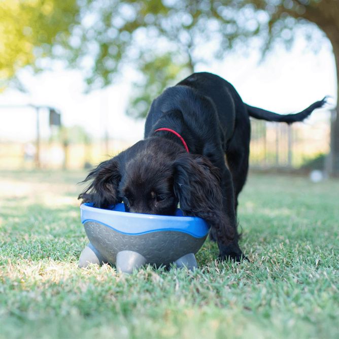 Kiwi Walker UFO bļoda, zila, M