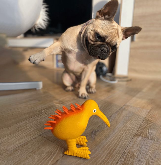 Kiwi Walker WHISTLE lateksa rotaļlieta ar baltu ķiveri, One size, oranža