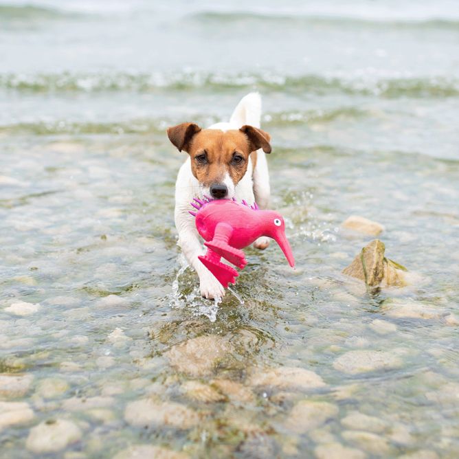 Kiwi Walker WHISTLE lateksa rotaļlieta, S, rozā