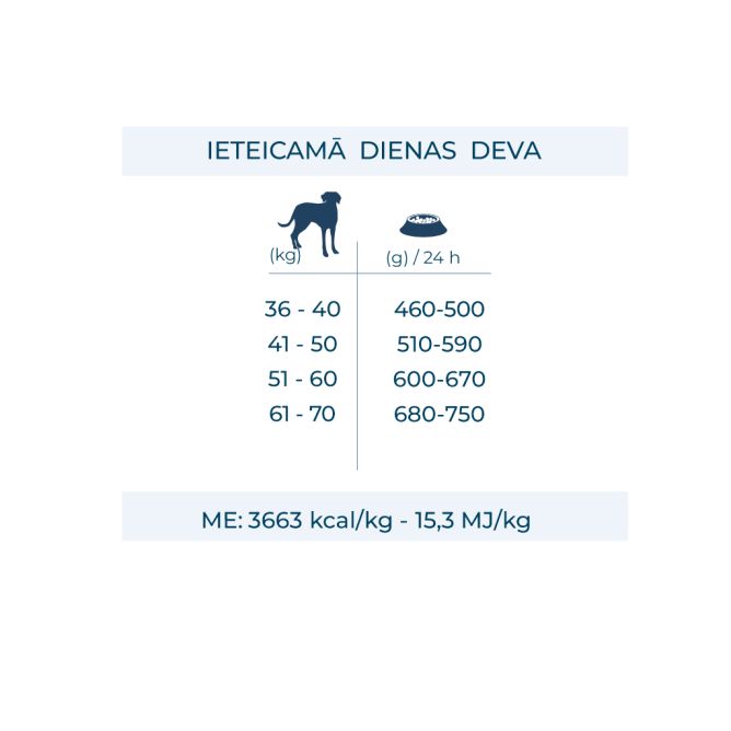 MAXI Adult ar briedi un kartupeļiem, 12 kg