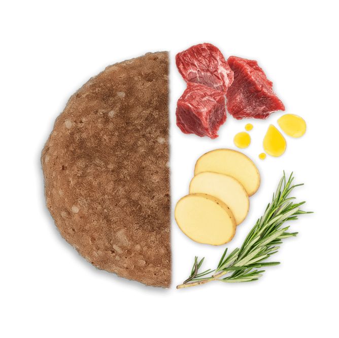 MEDIUM Adult ar briedi un kartupeļiem, 12 kg