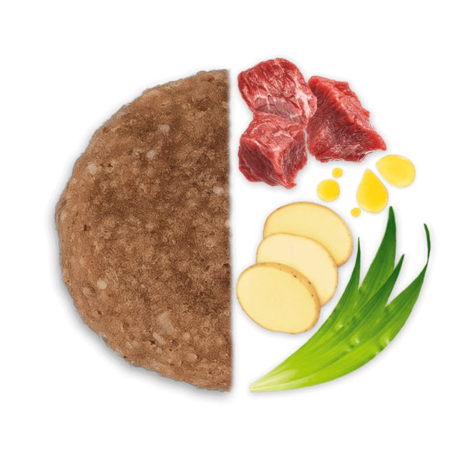 MEDIUM Adult ar briedi un kartupeļiem, 2kg