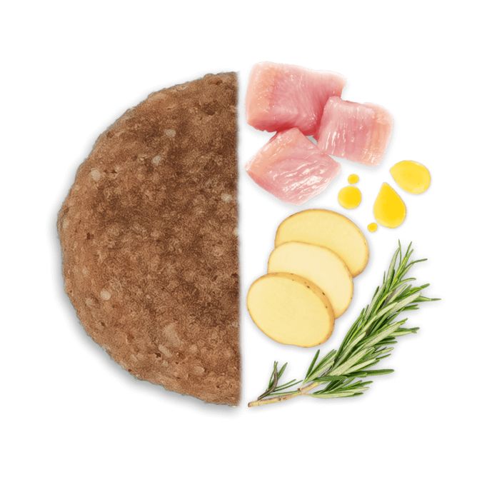 MEDIUM Adult ar vistu un kartupeļiem, 12kg