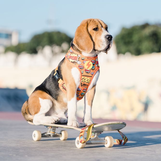 Mīkstie NeoMesh muguras iemaukti suņiem BOOM, XS